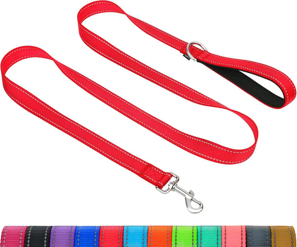 Taglory Dog Leash, Double-Sided Reflective, Soft Neoprene Padded Handle, 3/4 inch by 5 ft, for Dogs Under 20 lbs, Red