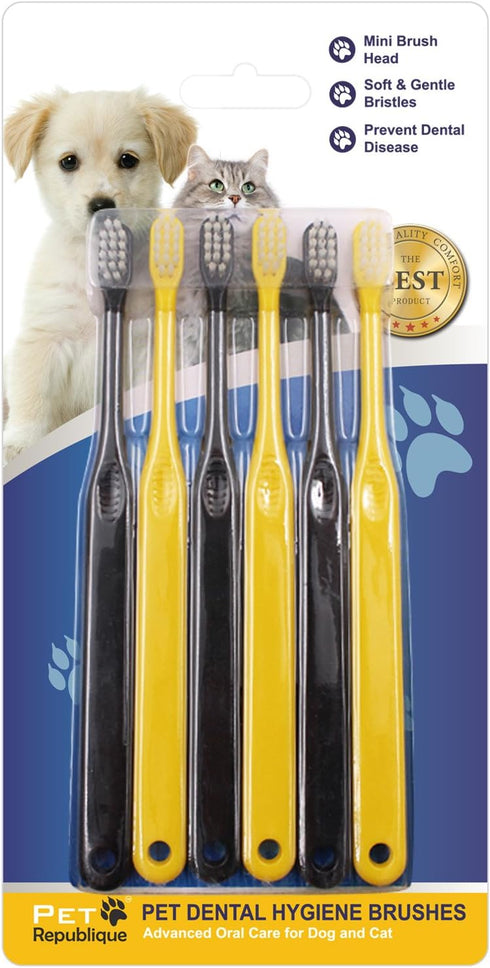 Small Toothbrush for Dogs and Cats, Designed for Kittens, Puppies, and Small Dogs, 6 Count