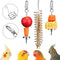 3 Pieces Stainless Steel Bird Food Holder, Parrot Hanging Vegetable Fruit Feeder with 2 Small and Large Fruit Forks