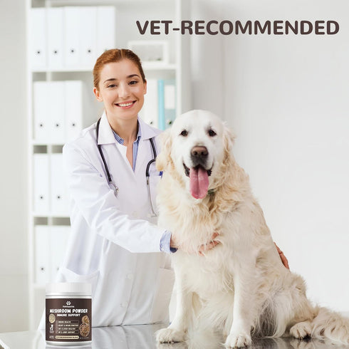 10 50% Immune 36g Turkey Tail Mushroom for Dogs, Organic Mushroom Blend for Lipoma Lumps and Bumps, Probiotic Mushroom