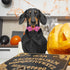 Halloween Boy Dog Collar Bow Tie - Thick Purple Pumpkin Collar with Safety Metal Buckle, Adjustable for Small to Large