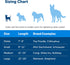 PetSafe Martingale Dog Collar with Quick-Snap Buckle, 3/8 Inch, Royal Blue - Petite