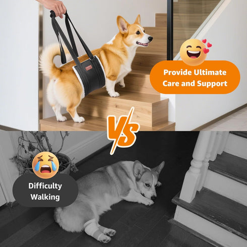 LOOBANI Portable Dog Sling for Back Legs - Hip Support Harness for Canine Aid and Rehabilitation