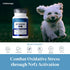 Petandim Dog Vitamins - 30 Chewable Tablets for Joint Support, Skin & Coat Health, Bacon, Chicken, and Liver Flavor
