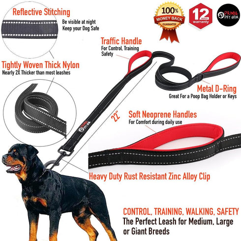 Dog Leash 6ft Long, Traffic Padded Two Handle, Heavy Duty Reflective Lead for Large or Medium Dogs