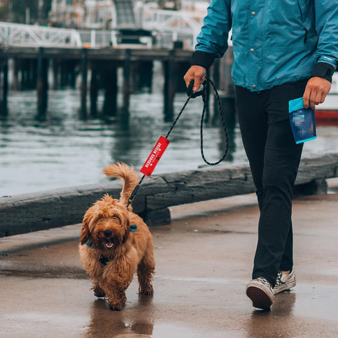 Rescue I Need Space Funny Red Dog Leash Sleeve Wrap Dog Walking Accessory - Pet Birthday Gift - Gift for Dog Owner and Lover