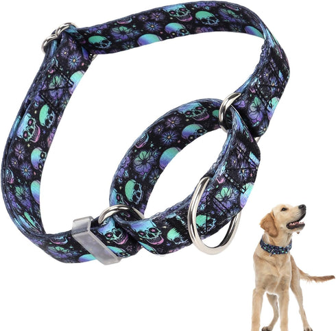Martingale Collar for Dogs, Skull Dog Collar for Large Medium Small Dogs, Adjustable No Slip Collar for Girl or Boy
