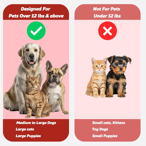 (Pack 2(Red)) Pet Toothbrush for Dogs, Cats with Soft Bristles - Easy Teeth Cleaning & Dental Care, Non Slip Dual Head