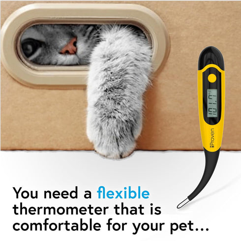 20 DT-K117 (5 Packs) iProven Pet Thermometer (Termometro) for Accurate Fever Detection, Suitable for Cats/Dogs