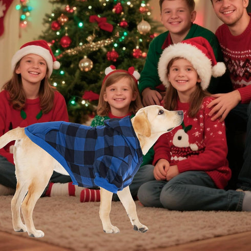 KOOLTAIL Plaid Dog Hoodie Pet Clothes Sweater with Hat and Pocket for Small Medium Large Dogs, Soft Winter Coat, Blue