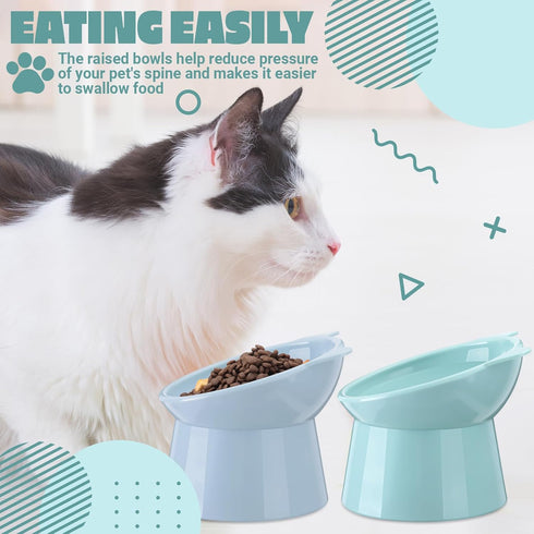Zhehao 2 Pieces Plastic Raised Bowl Set, Tilted 15 Degrees Elevated Cat Food and Water Bowls for Cats and Small Dogs