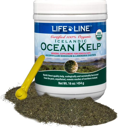 Life Line Pet Nutrition Organic Ocean Kelp Supplement - 16oz for Skin & Coat, Digestion