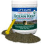 Life Line Pet Nutrition Organic Ocean Kelp Supplement - 16oz for Skin & Coat, Digestion
