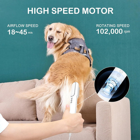 Pet Hair Dryer and Brush 2 in 1, High and Low Temperature, 3 Wind Speed Adjustment, 800W Power for Small Medium Cats