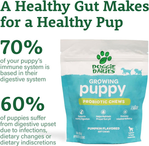 Doggie Dailies Puppy Probiotic | 120 Soft Chews for Digestive Health & Immune Support in Puppies