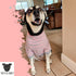 Tooth & Honey Big Dog Stripe Shirt – Pullover with Full Belly Coverage – Pink and Grey Shirt for Large Dogs