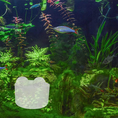 10pcs Fish Tank Planter Decor, Acrylic Plant Cup Holders for Fish Tank Supplies and Bait Feeder