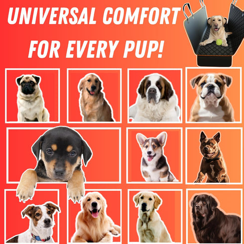 Hammock Doggie World Dog Car Seat Cover for Back Seat for Cars & SUVs - Durable Pet Car Seat Cover Backseat Protector