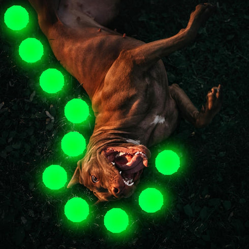 Liliful 10 Pcs Glow in The Dark Dog Toys - 2.4 Inch Rubber Fetch Balls with Net Bag for Small Dogs.