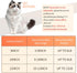 Hillban Cat Collar with Diamond Chain, Glitter Walking Metal Necklace with Secure Buckle for Small Cats (Gold, 10 Inch)