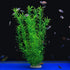 Tall Green Leaves Aquarium Décor Plastic Plants Extra Large 20 Inches Ch0701 by Unootel