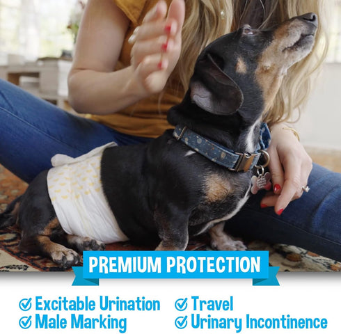 (20 Count) Bodhi Dog Disposable Male Dog Diapers - Super Absorbent, Leak-Proof Pee Wraps - Adjustable Fit, Comfortable