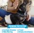 (20 Count) Bodhi Dog Disposable Male Dog Diapers - Super Absorbent, Leak-Proof Pee Wraps - Adjustable Fit, Comfortable