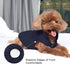 2 Layers Fleece Lined Warm Dog Jacket for Puppy Winter Cold Weather, Soft Windproof Small Dog Coat, Blue