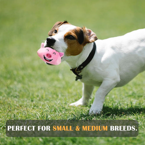 Jalousie 3 in 1 Dog Squeaky Toy - Interactive Chew Toy for Medium, Large, and Small Breeds with Spiky TPR Ball