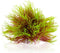 Fish Tank Decorations, Plastic Artificial Aquarium Plants Décor (Pink Yellow)