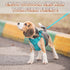 Dog Harness, Step in Dog Vest Harness, Reflective Adjustable No Pull Harness for Small Medium Dogs and Cats