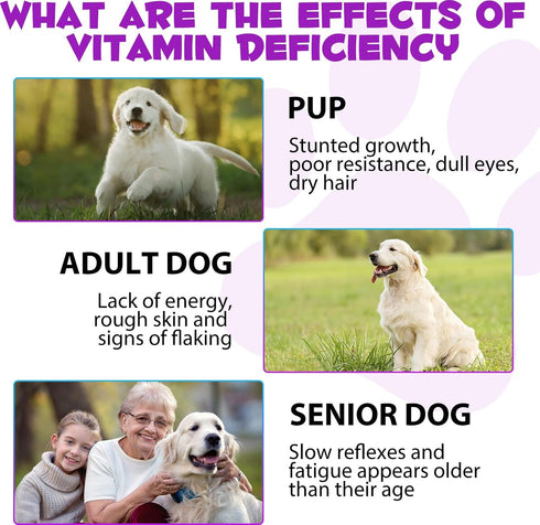 Oimmal 15 1 Immunity, 2 oz in Dog Multivitamin, All-in-One Multi Liquid Multivitamin for Dogs, Dog Vitamins