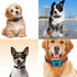 Replacement Collar Strap for Shock Collar, Adjustable Reflective Nylon Collar Strap for Dog Training Bark Collar E