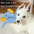 5 Pack LECHONG Tough Dog Toys Stuffed Squeaky Dog Toys Assortment Plush Animal Dog Toy Value Bundle Puppy Pet Dog Toys
