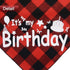 Dog Birthday Bandana Scarf with Cute Bling Hat - Pet Party Supplies for Small Medium Large Dogs (Red)