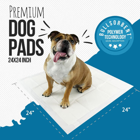 Premium Puppy Pee Pads with Adhesive Sticky Tape - 24x24 Large Dog Training Wee Pads, 100-Count, White
