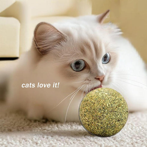 happylain 2 inches Diameter Catnip Ball - Catnip Balls for Cats, Interactive Cat Toy for Indoor Cats, Cat Nip Licking