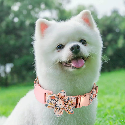 Airtag Dog Collar Holder, Anti-Lost Silicone Case for Air Tag GPS Tracking, Compatible with Dogs Cats Pets Collar (1
