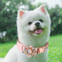 Airtag Dog Collar Holder, Anti-Lost Silicone Case for Air Tag GPS Tracking, Compatible with Dogs Cats Pets Collar (1