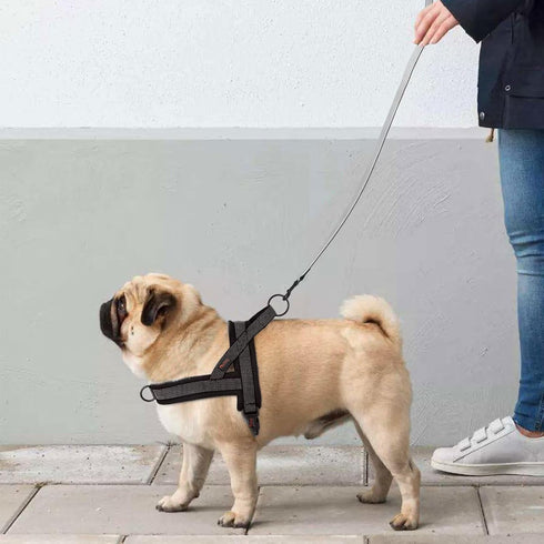 Didog No Pull Dog Harness with Breathable Mesh Padded, Full Reflective & Quick Fit Adjustable Vest for Dogs