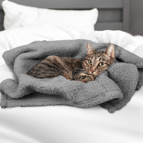 furrybaby Dog Blankets for Small Dogs, Grey, 24x32 in, Washable Sherpa Pet Blanket for Kittens and Puppies