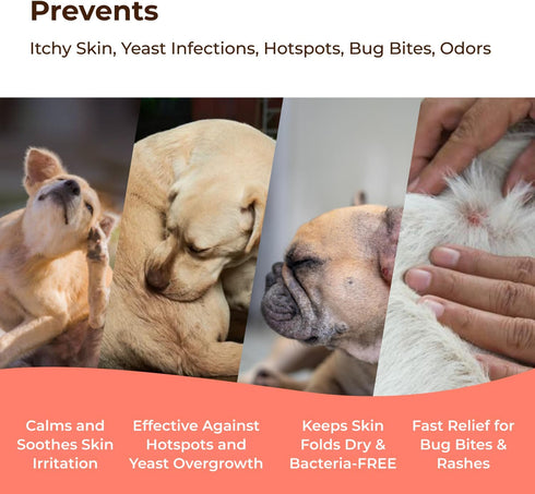 COAT DEFENSE Preventative Powder, 3.5oz Waterless Dog Shampoo & Deodorizer for Smelly Dogs, Made in USA