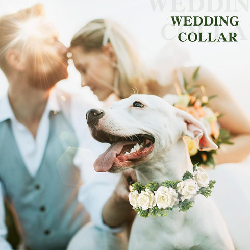 Dog Wedding Flower Collar, Elegant Wreath Bow for Weddings, Pet Photo Prop for Cats and Dogs (Large, White)
