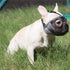 Short Snout Dog Muzzles - Adjustable Breathable Mesh Bulldog Muzzle for Training Grooming, Grey (Large/15-25")