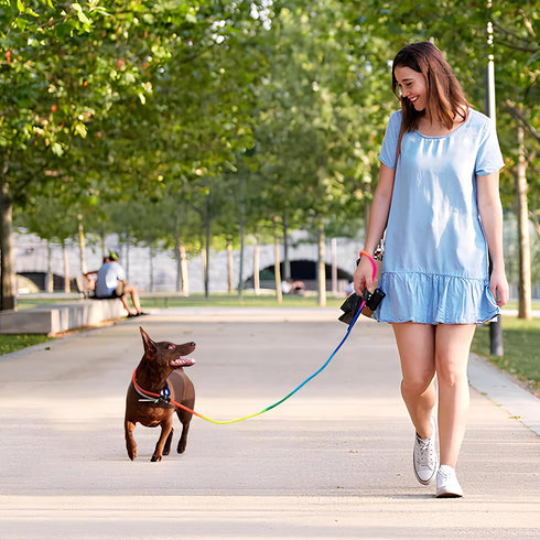 3pcs Slip Lead Dog Leash: No Pull Pet Training Leash for Medium and Small Dogs, 5ft with Two Leather Stoppers (Rainbow)