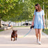 3pcs Slip Lead Dog Leash: No Pull Pet Training Leash for Medium and Small Dogs, 5ft with Two Leather Stoppers (Rainbow)