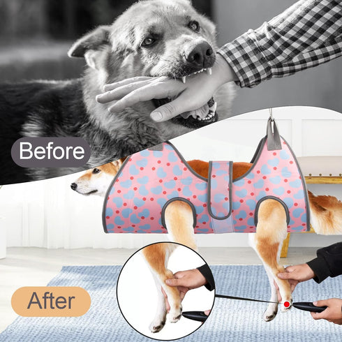 Hammock Trimming, Trimmers Dog Grooming for XXL Large Dogs Nail Dog Grooming Harness for Cutting Nails, Pet Grooming