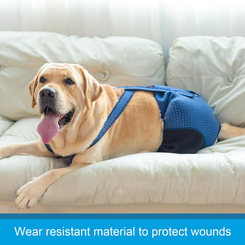 Coodeo Dog Recovery Suit, Cone Collar Alternative, Abrasion Resistant, Washable, Waterproof for Pet Wounds (L, Blue)