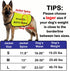 Training Dog Jacket Vest in Training Ignore Dog Vest Dog Walking Slogan Warning Vest (in Training Ignore-Large)