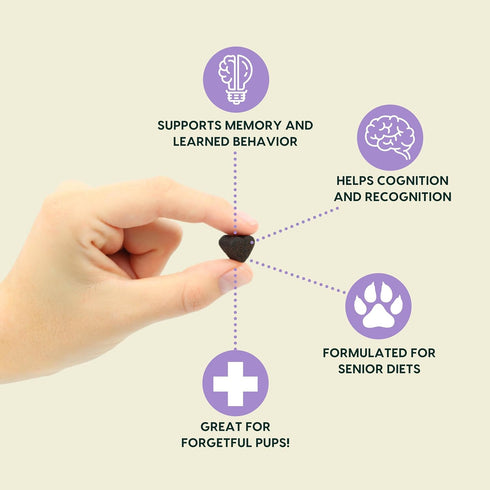 Recommended 90 Count Ark Naturals Gray Muzzle Brain's Best Friend Vet Soft Chews for Cognitive Issues Associated